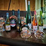 盖埃尔兰德酒店 4* 基普芬伯格